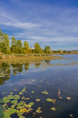 Ein Tag am See im herbstlichen Kleid bei Breitungen - Thüringen