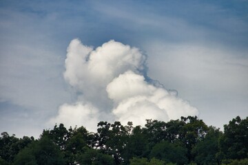 코끼리와 강아지 구름