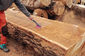 Lumberjack cleaning the surface of tree trunk from sawdust after cutting. Timber material...