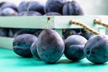 freshly picked ripe plums in a vintage box several plums are lying next to each other on the table