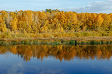 View of the river and the yellow-green autumn forest