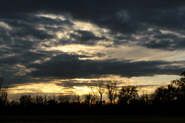 Landscape of a cloudy sunset with silhouettes of trees