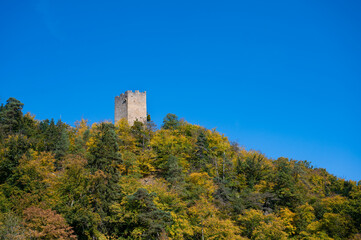 Fototapeta na wymiar Herbstwald bei Burg Freyenstein