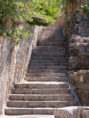 Aged stone stair way surrounded with plants front view