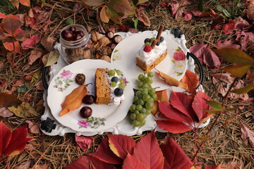 autumn image, slice of caramel cake, whipped cream and fruit, closeup, green grapes, aromatic, chestnuts, red decorative autumn leaves, natural forest setting