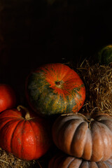 pumpkins and hay in autumn