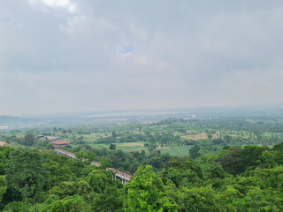 Fototapeta premium Aerial view of forest trees, ecosystem of rainforest texture of green tree forest view