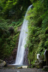 岐阜県　養老の滝