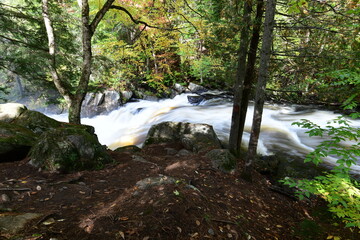 Obraz premium waterfall in the forest