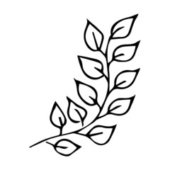 Hand drawn vector tree branch. Black herb silhouette isolated on white background. Botanical illustration for print, web, design, decor, logo.