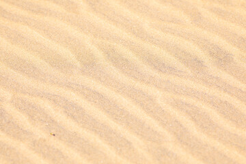 Textura de arena de playa