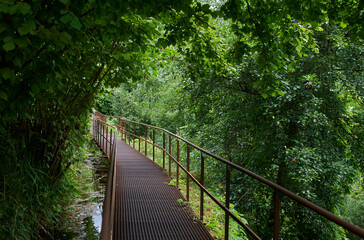 Iron footbridge over a river among the undergrowth of the forest