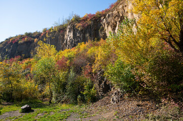 Abandoned  quarry in the forest