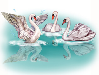Three white swans on the lake