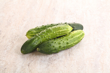 Fersh juicy green cucumbers heap