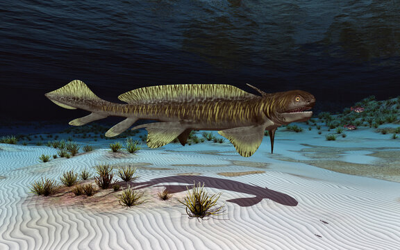 Pr&auml;historischer Hai Orthacanthus