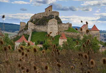Medieval fortress on a hill