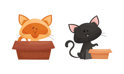 Cute cats in boxes set. Funny black and red cat sitting and playing with cardboard box cartoon vector illustration