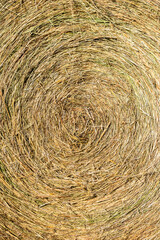 bale of hay