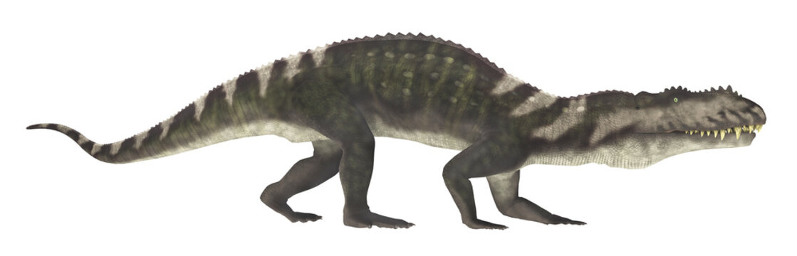 Archosaurier Prestosuchus, Freisteller