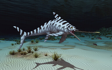 Fototapeta na wymiar Ichthyosaurier Eurhinosaurus