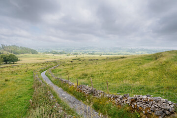 Small walking path with great view on beautiful country side with green fields separated by stone fence. Irish country side. County Sligo, Ireland.