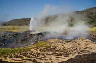 Lac Bogoria, Parc national, vall&eacute;e du rift, Kenya