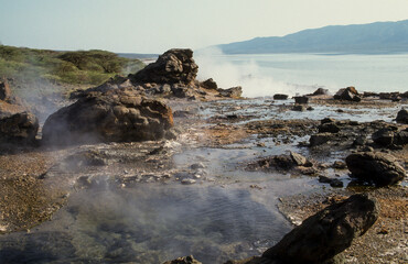Lac Bogoria, Parc national, vallée du rift, Kenya