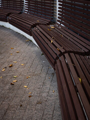 Wooden brown benches standing in a circle in an autumn park on a gloomy fall day