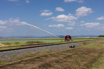 A travelling irrigator irrigating a field of young sugar cane by spraying water with a rotating...