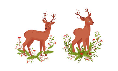 Cute fawn among tree branches with berries. Adorable little deer cartoon vector illustration