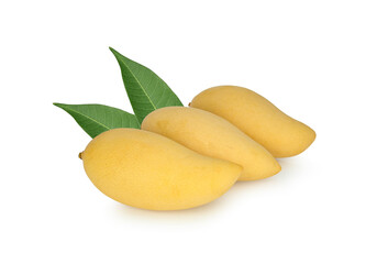 Three mango isolated on white background