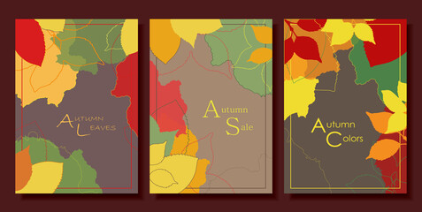 Set Of Autumn Backgrounds With Leaves