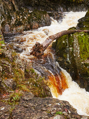 Conwy Falls in full flow