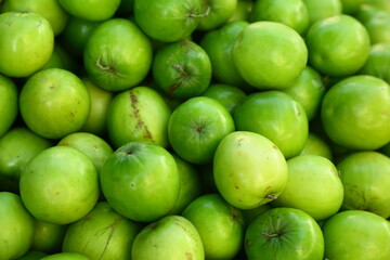 Farmers market scenes, organic green plumes .