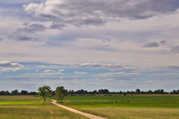 Obraz premium white clouds over a green field during the day