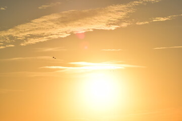 Orange sky