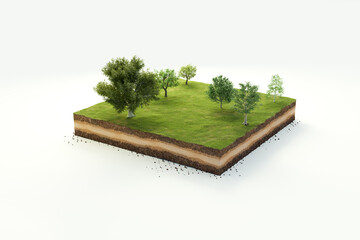 3D cubical garden grass land with trees, soil geology cross section, 3D Illustration ground ecology isolated on white background