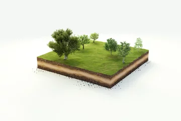 Foto op Canvas 3D cubical garden grass land with trees, soil geology cross section, 3D Illustration ground ecology isolated on white background © LAYHONG