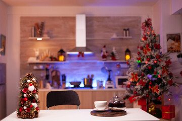 Empty room with festive ornaments, tree, lights and red decorations at traditional home. Nobody in decorated kitchen with professional cooking appliances ready for seasonal celebration