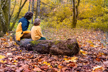 Two boys a resting, sitting on a tree trunk  after a long walk in a forest in autumn. Beautiful fall in a wild park. Back view. Brothers spending time together.