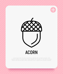 Acorn thin line icon. Modern vector illustration.