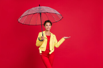 Photo of dreamy shiny young lady wear yellow jacket smiling walking open umbrella catching arm empty space isolated red color background