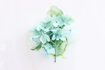 Creative image of pastel mint Hydrangea flowers on artistic ink background. Top view with copy space