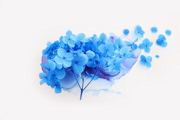 Creative image of blue Hydrangea flowers on artistic ink background. Top view with copy space