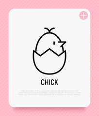 Cute chick in egg thin line icon. Modern vector illustration.