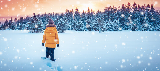 Active woman in the wilderness natural park in winter snowfall.