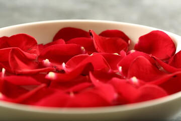 Bowl of organic rose water with petals , skin care concepts.