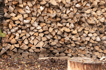Birch and aspen firewood stacked in a woodpile. Autumn in Siberia. Preparing for winter.