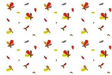 Seamless autumn vector background from colored oak leaves and acorns on white. Pattern from natural materials. Design element